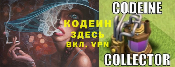 шишки Нягань