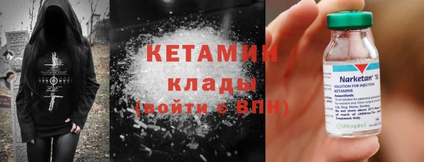 шишки Нягань
