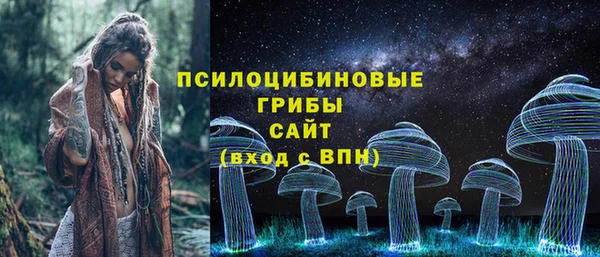 шишки Нягань
