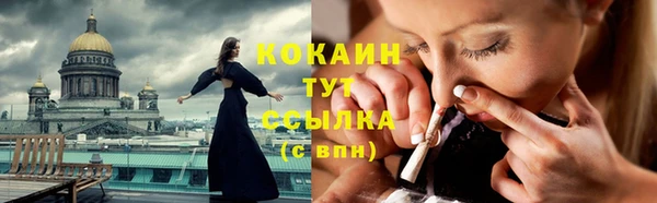 шишки Нягань