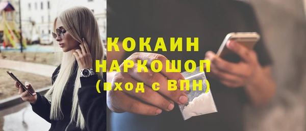 шишки Нягань