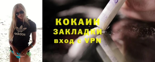 тгк Няндома