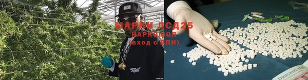 шишки Нягань