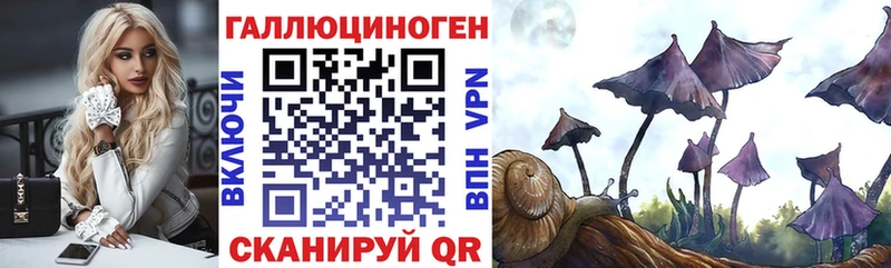 Псилоцибиновые грибы Cubensis  Купить закладки  Северобайкальск 