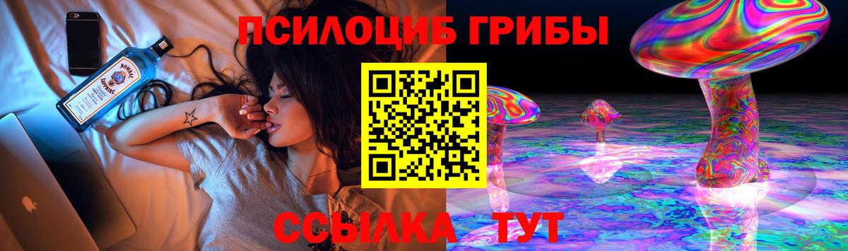 Северобайкальск  Галлюциногенные грибы мицелий  Вход с VPN 